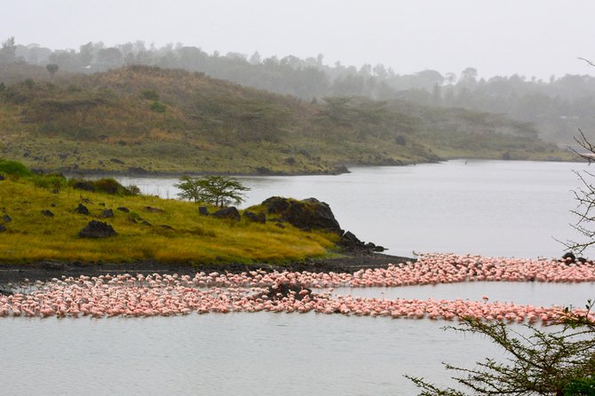 4 days Safari Lake Manyara, Ngorongoro crater and Serengeti - Day four: Ngorongoro Crater and the return journey