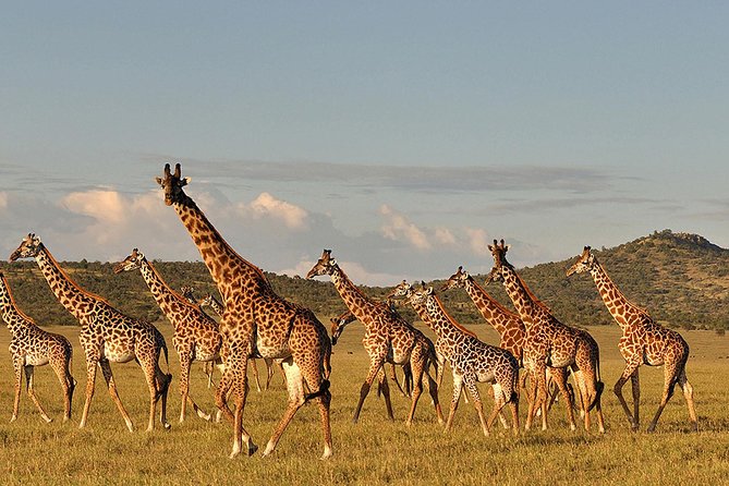 4 days Safari Lake Manyara, Ngorongoro crater and Serengeti - What the $2,650 price really covers