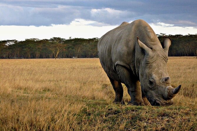 4 Days Safari Tour at Tarangire, Serengeti and Ngorongoro Crater - Day two: crossing toward the Serengeti