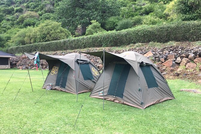 4 Days Serengeti NP, Ngorongoro Crater & Tarangire NP Safari - Day Four: Ngorongoro Crater’s Compact Wildlife World