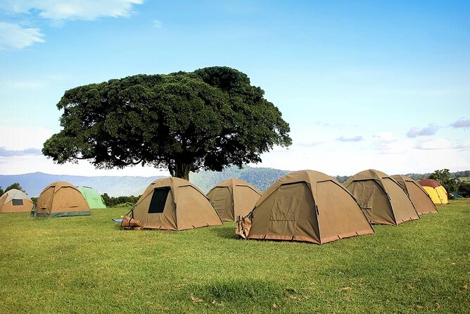 4 Days Serengeti NP, Ngorongoro Crater & Tarangire NP Safari - Meals, Camping, and What You Pay For