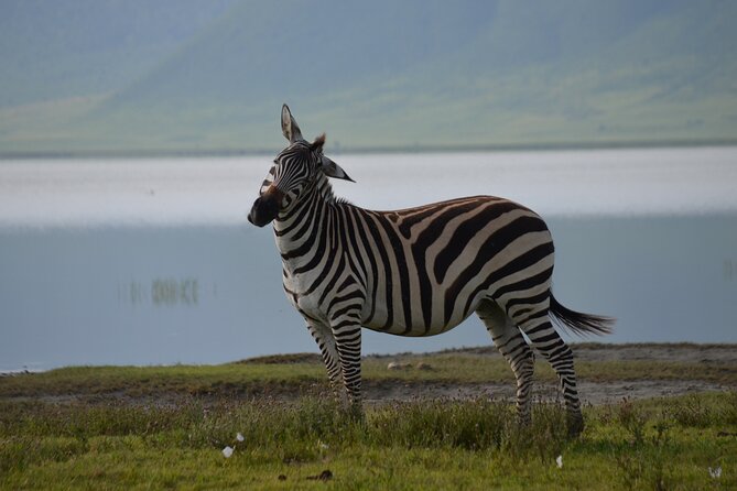 4 Days Tanzania Private safari to Serengeti ,ngorongoro crater and Tarangire - The route at a glance