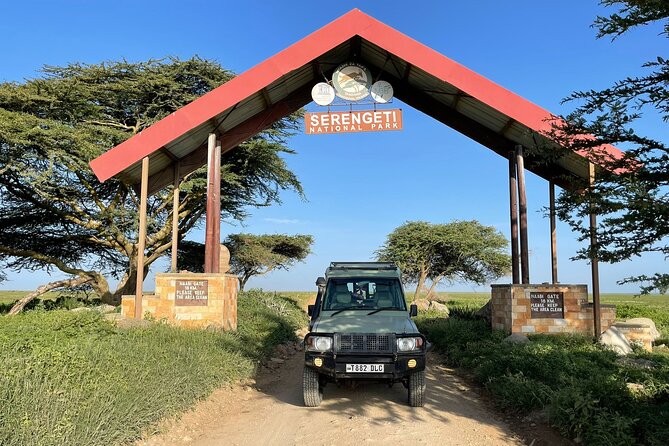 4 days Tarangire National park, Serengeti National park and Ngorongoro crater - Timing, comfort, and what to pack