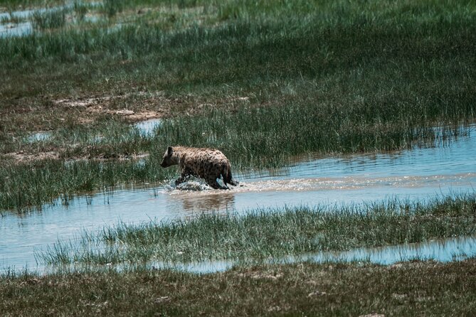 4 Days Tarangire, Serengeti and Ngorongoro Crater Camping Safari - Why this four-day route works
