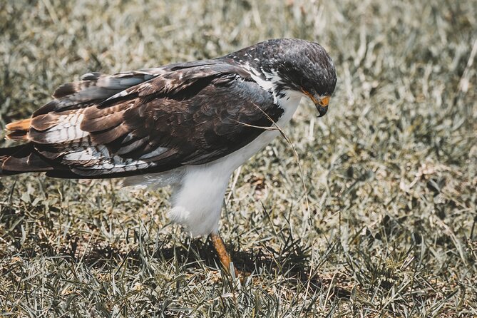 4 Days Tarangire, Serengeti and Ngorongoro Crater Camping Safari - What to pack for this schedule