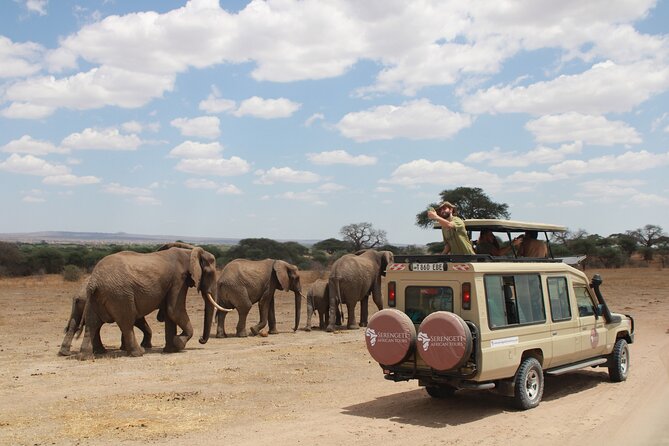 4 Days Tarangire Serengeti Ngorongoro Crater - Day two: the long road to Serengeti