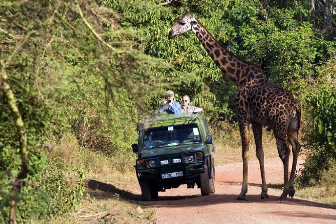 4 Days Tarangire Serengeti Ngorongoro Crater - Group size, comfort, and the pace of the roads