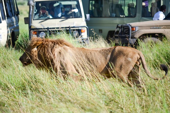 4 Days Tarangire ,Serengeti &Ngorongoro crater group Tour - What this four-day safari is really offering