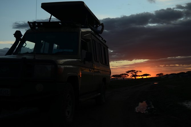 4 Days Tarangire ,Serengeti &Ngorongoro crater group Tour - Camping, meals, and what to pack