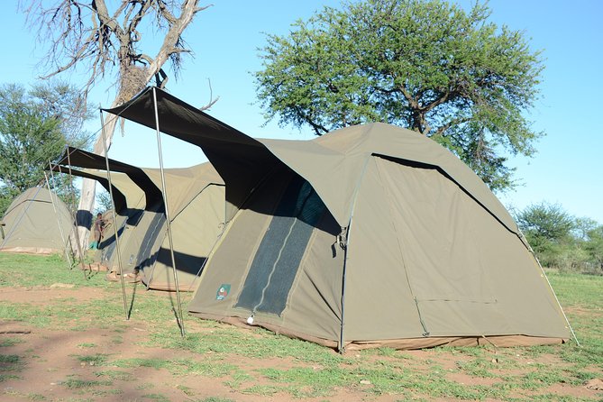 4 Days Tarangire ,Serengeti &Ngorongoro crater group Tour - Who gets the best value from this safari