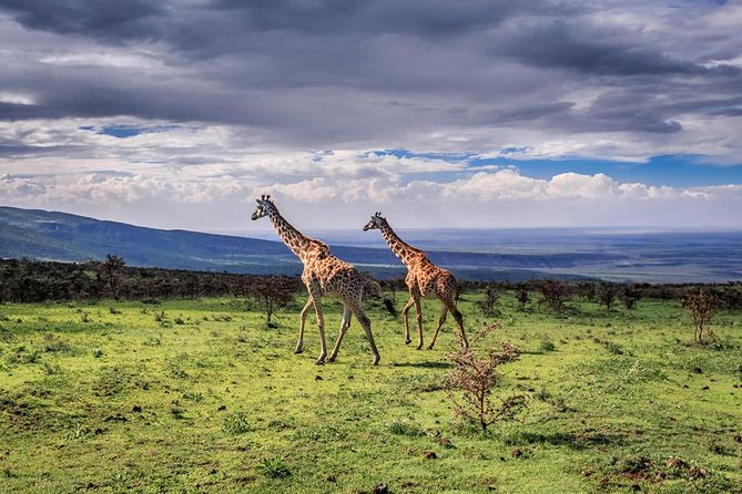 4 Days Tarangire Serengeti Ngorongoro Crater - Day one: elephants and baobabs in Tarangire