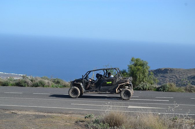 4-seater Mixed 3h Guided Buggy Volcano Tour in Lanzarote - Is $301.20 good value for four people?