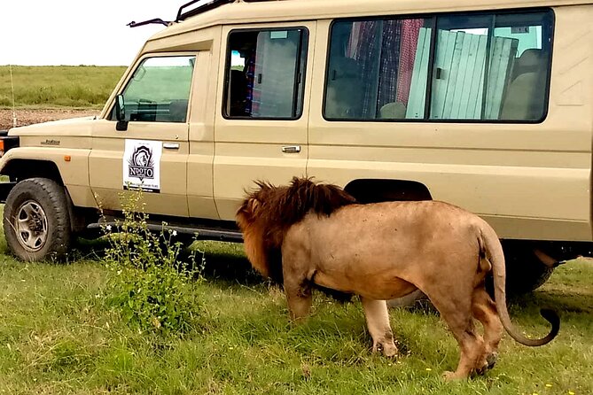 5 Day Adventure Camping Safari to Serengeti, Ngorongoro crater & Tarangire - Tarangire begins with elephants and big baobabs