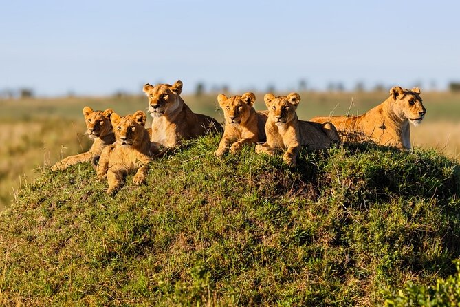 5 Day Adventure Camping Safari to Serengeti, Ngorongoro crater & Tarangire - Central Serengeti gives you the fullest game drive