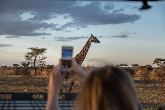 5 Day Adventure Camping Safari to Serengeti, Ngorongoro crater & Tarangire - Who will get the most from this route