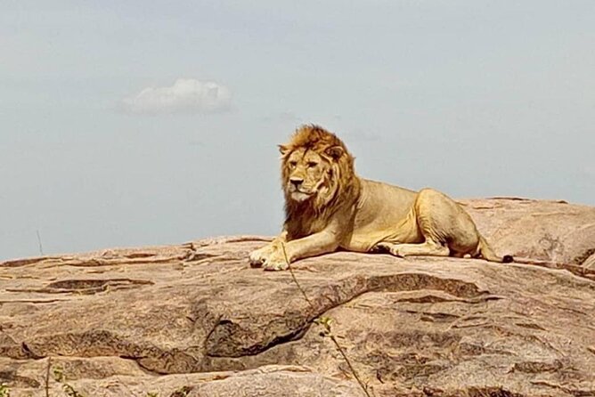 5 Day Camping Safari to Lake Manyara, Serengeti and Ngorongoro Crater - Tarangire: elephants, baobabs, and a strong first day