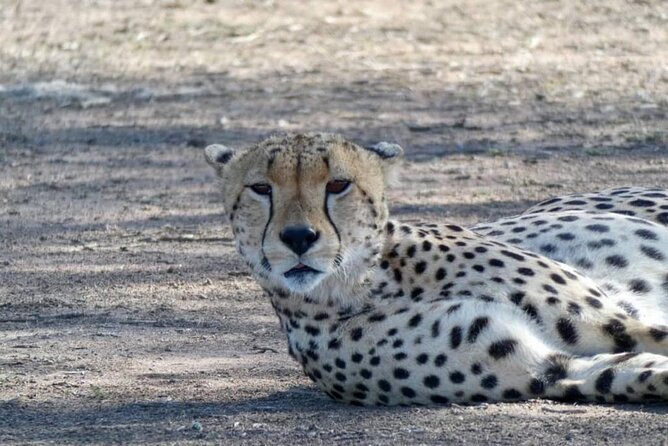 5 Day Camping Safari to Lake Manyara, Serengeti and Ngorongoro Crater - What the $2,280 price really covers
