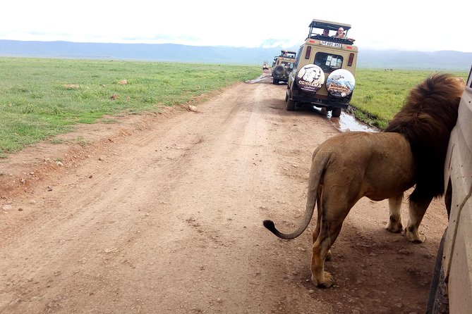5 Day Camping Safari to Lake Manyara, Serengeti and Ngorongoro Crater - The road to the Serengeti is part of the experience