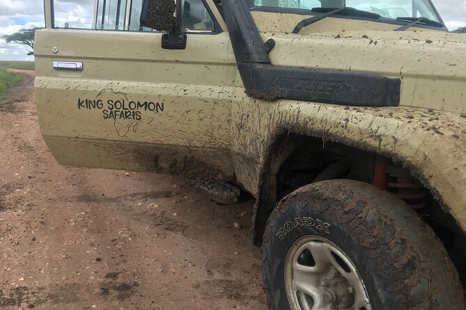5-Day Lake Manyara, Serengeti, Ngorongoro Crater and Tarangire - Day 4: Five hours inside Ngorongoro Crater