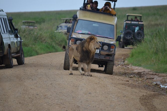 5 Day Private Lodge & Camping Tour of Tarangire, Serengeti & Ngorongoro Crater - Key points at a glance