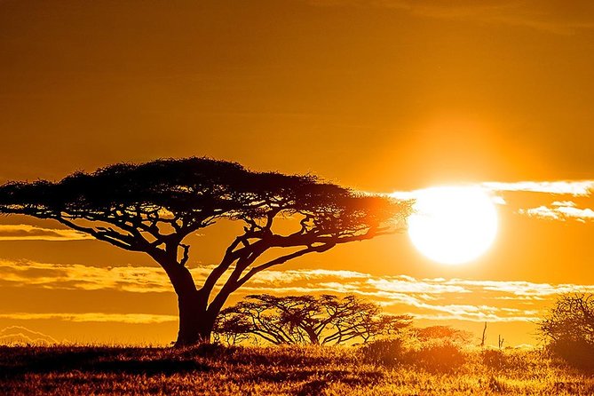 5 Day: Spectacular View of Ngorongoro Crater - Day 5: forest, monkeys, and the Great Rift Valley