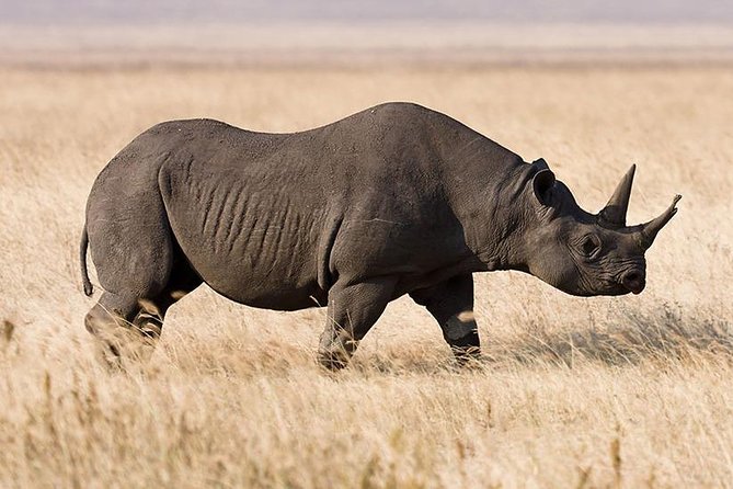 5 Day: Spectacular View of Ngorongoro Crater - Day 2: the long road into the Serengeti
