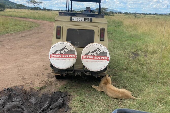 5 Days Camping Tarangire, Serengeti & Ngorongoro crater & Visiting Maasai - What the five-day route really offers