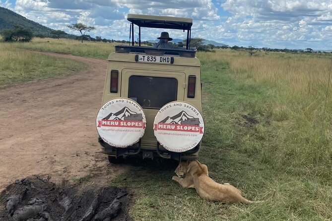 5 Days Camping Tarangire, Serengeti & Ngorongoro crater & Visiting Maasai - Day two: crossing the highlands into the Serengeti