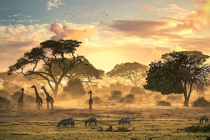 5 Days Camping Tarangire, Serengeti & Ngorongoro crater & Visiting Maasai - Camping, food, and practical comfort