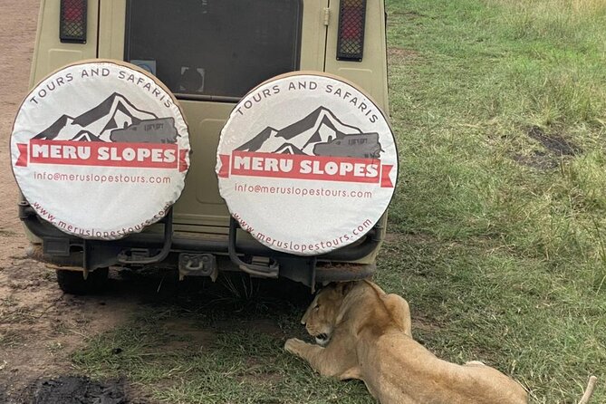 5 Days Camping Tarangire, Serengeti & Ngorongoro crater & Visiting Maasai - Day one: elephants and baobabs in Tarangire