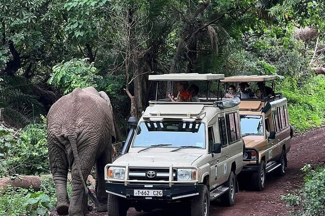 5-Days Lake Manyara, Serengeti, Ngorongoro Crater and Tarangire - Why two Serengeti nights matter