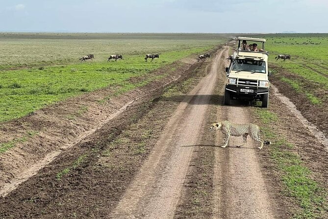5-Days Lake Manyara, Serengeti, Ngorongoro Crater and Tarangire - What the $3,099 price includes