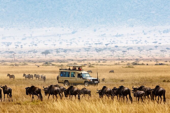 5-Days Private Safari Tour in Trangire, Serengeti, and Ngorongoro Crater - Key points before you book