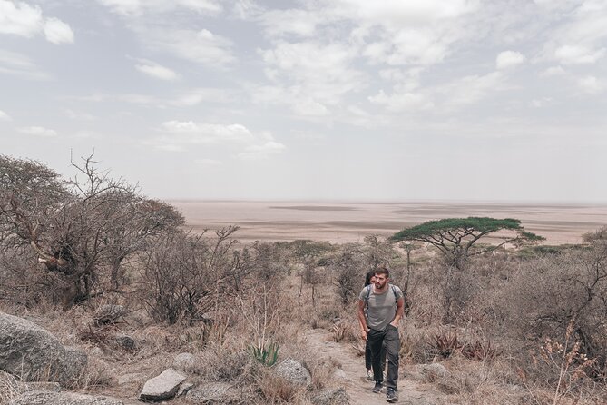 5-Days Private Safari Tour in Trangire, Serengeti, and Ngorongoro Crater - Day 1: Tarangire and the first elephant sightings