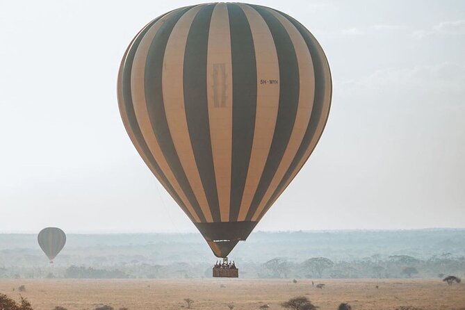 5-Days Private Safari Tour in Trangire, Serengeti, and Ngorongoro Crater - Day 4: Early Serengeti viewing and Ngorongoro Crater