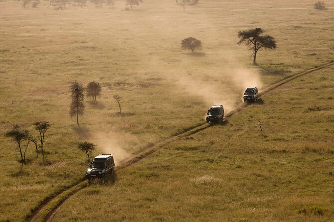5 Days Safari Tarangire, Serengeti, and Ngorongoro Crater - The long road into the Serengeti