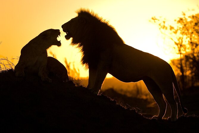 5 Days Safari Tarangire, Serengeti, and Ngorongoro Crater - The Ngorongoro Crater’s compact wildlife world