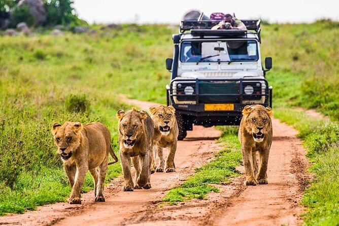 5 Days Safari Tarangire, Serengeti, and Ngorongoro Crater - Tarangire’s baobabs and permanent river
