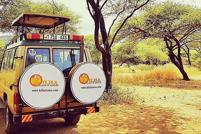 5 days Safari to Lake Manyara, Serengeti and Ngorongoro crater - Guide quality and family fit
