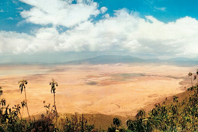 5 days Tour Tarangire, Serengeti, Ngorongoro Crater & Lake Manyara Park-Midrange - Day two: a long road to the Serengeti