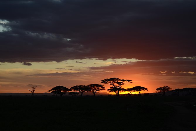 5days Tanzania Safari lodge and camping Serengeti, Tarangire & Ngorongoro Crater - The five details that matter most