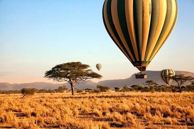 5days Tarangire,Serengeti,ngorongoro Crater and Lake Manyara National park - Four parks, one tightly packed safari