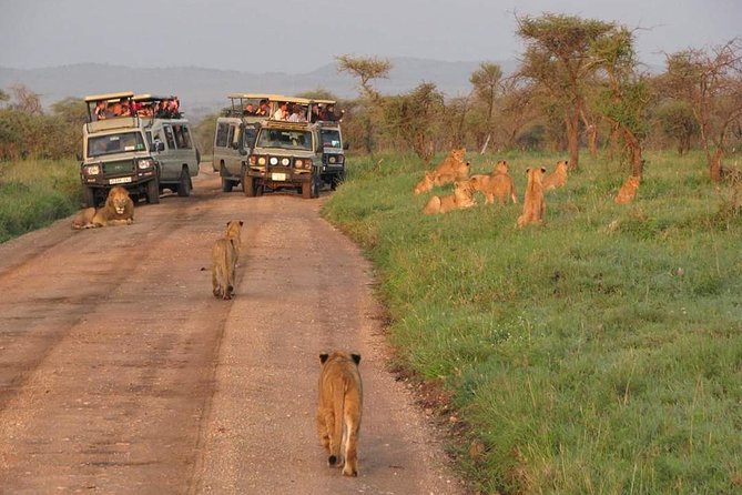 5days Tarangire,Serengeti,ngorongoro Crater and Lake Manyara National park - What the $2,499 price covers