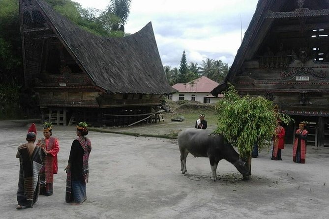 6 Day North Sumatra Highlights - Jungles Orangutans Lakes and Volcanoes - Key points at a glance