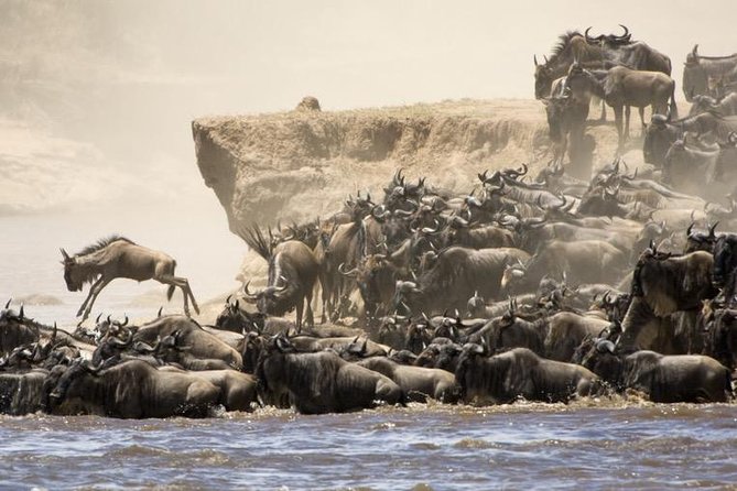 6 Days 5 Nights lodge safari Tarangire, Manyara, Serengeti & Ngorongoro Crater - Day 1: Tarangire, baobabs, and elephant country