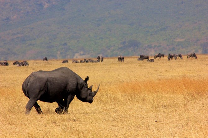 6 Days 5 Nights lodge safari Tarangire, Manyara, Serengeti & Ngorongoro Crater - Day 3: Crossing the crater highlands into the Serengeti