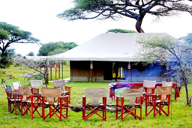 6 Days 5 Nights lodge safari Tarangire, Manyara, Serengeti & Ngorongoro Crater - Day 5: Sunrise in the Serengeti, then Ngorongoro