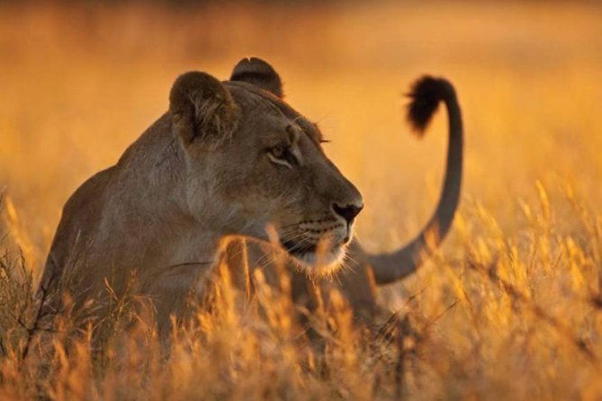 6 Days 5 Nights lodge safari Tarangire, Manyara, Serengeti & Ngorongoro Crater - Day 2: Lake Manyara and the Great Rift Valley