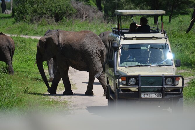 6 Days best adventure kilimanjaro ,Tarangire ,Serengeti &Ngorongoro crater - Day 1: Lake Manyara and the Rift Valley wall