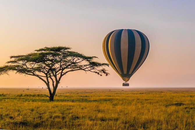 6 Days best adventure kilimanjaro ,Tarangire ,Serengeti &Ngorongoro crater - Day 2: The long road to Serengeti